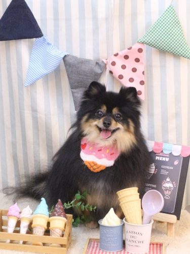 20250530アンバーちゃん